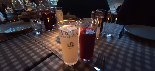 Comentarii opinii despre MEYHANE AŞİNA