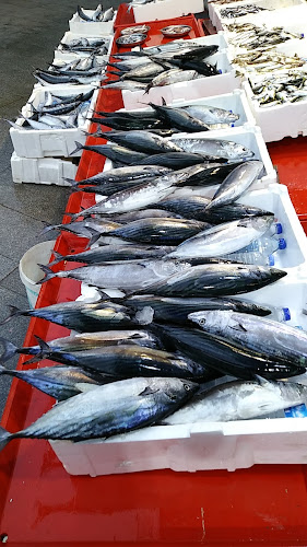 Opinii despre Çotanak Balık Hali în Giresun Merkez - Gastronomi ve konaklama