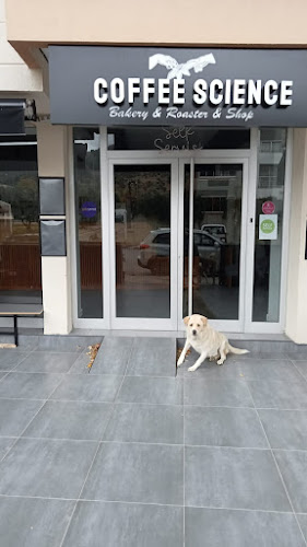 Comentarii opinii despre Pempink Coffee & Tea House