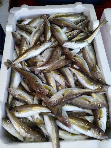 Çotanak Balık Hali