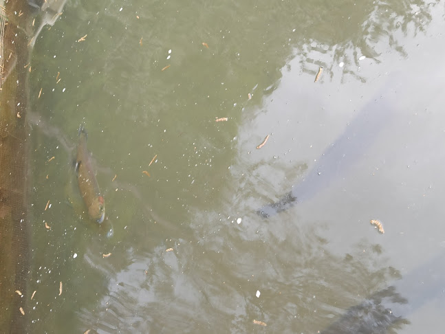 Unnamed Road, Kemaliye, 54900 Pamukova/Sakarya