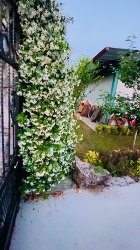 Opinii despre FIRAT KABADAYI în Muslu/Kilimli - Gastronomi ve konaklama