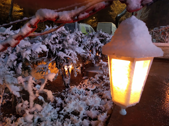 Bidene Çiğ Köfte Kılıçarslan Bayi - Konya