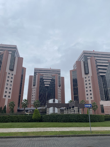 Opinii despre Roka Mutfak în Bakırköy - Gastronomi ve konaklama