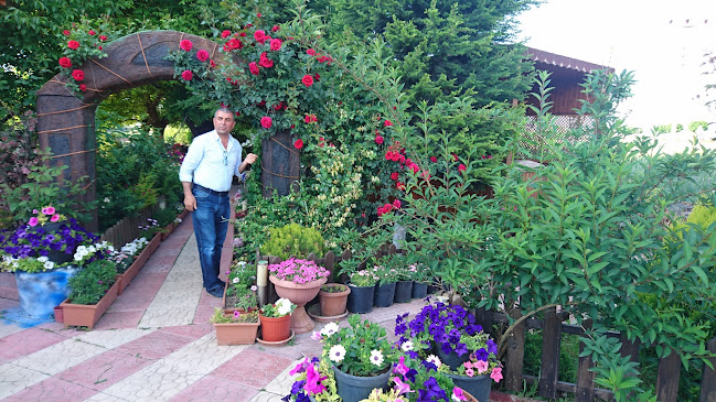 Cevizli Bahçe Restaurant - Gastronomi ve konaklama