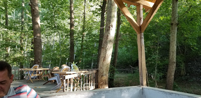 Comentarii opinii despre Niksar Kavlağanlık Alabalık Tesisi