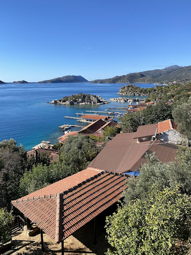 The I Am Here Cafe - Gastronomi ve konaklama