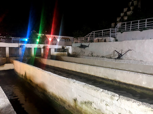 Gökküşağı Balık