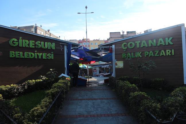 Çotanak Balık Hali