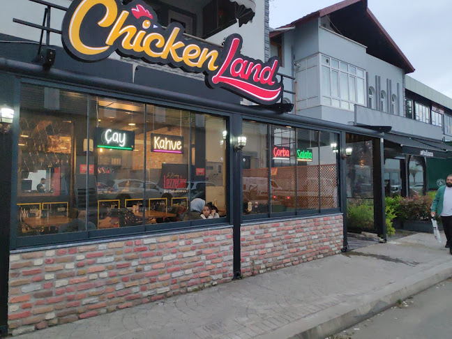 Opinii despre ChickenLand în Serdivan - Gastronomi ve konaklama