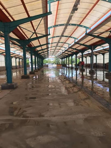 Ölmez, Vatan Cd. No:30, 42450 Altınekin/Konya