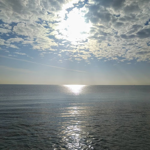 Opinii despre ALBATROS în Konya - Gastronomi ve konaklama