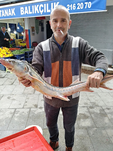 Comentarii opinii despre Çotanak Balık Hali