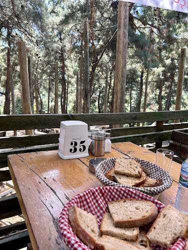 Misi Köyü Piknik Alani, Gümüştepe, Bursa Keles Yolu, 16000 Ni̇lüfer/Bursa