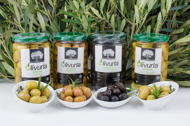 Ayerya Organik Ürünler ve Cafe