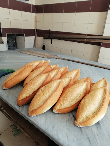 Opinii despre Ali Baba Unlu Mamülleri în Kumru - Gastronomi ve konaklama