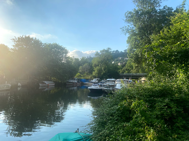 Comentarii opinii despre LOTUS coffee