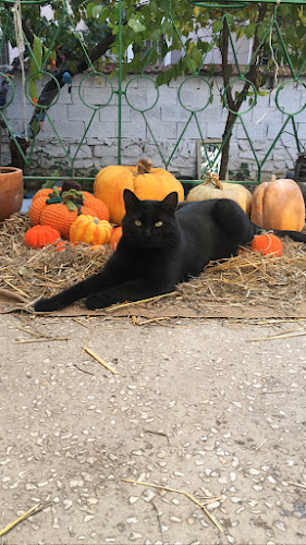 Hane Sanat - Gastronomi ve konaklama