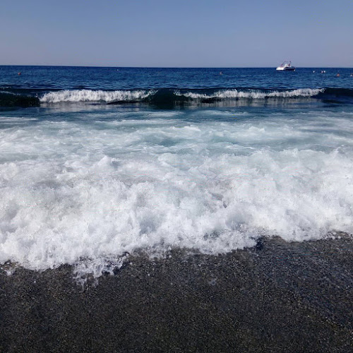 Sonas Alpina Bar - Gastronomi ve konaklama