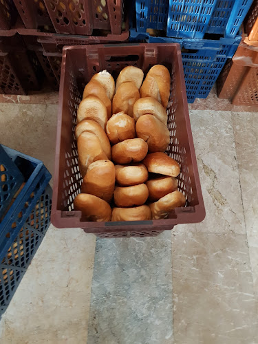 Opinii despre Simay Doğal Taş Taban Ekmek Ve Unlu Mamulleri în Denizli Merkez - Gastronomi ve konaklama