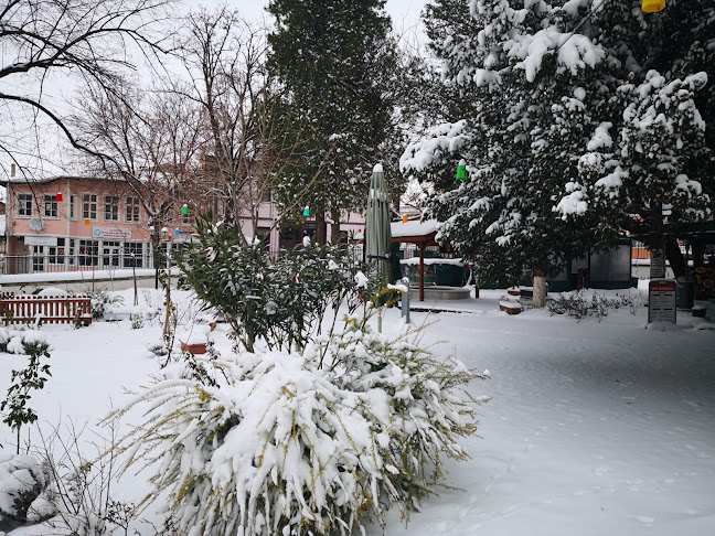 Üç Şerefeli (Burmalı) Camii Çay Bahçesi, Babademirtaş, Babatimurtaş Sokak No:2, 22020 Edirne