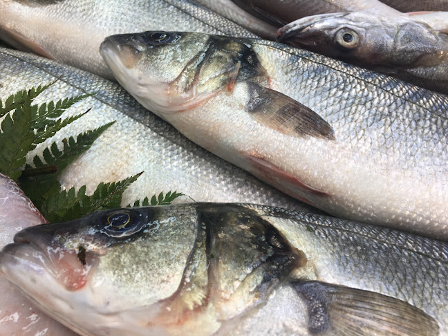 Comentarii opinii despre Battı Balık restorant