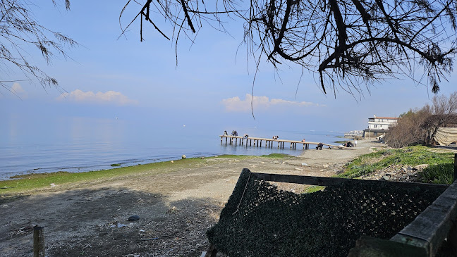 Comentarii opinii despre Zeytin Cafe & Restaurant Urla