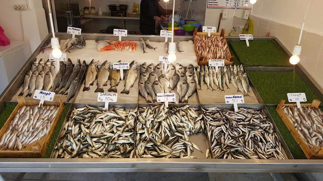 Opinii despre Barman Balıkçılık Kırklareli în Kırklareli Merkez - Gastronomi ve konaklama