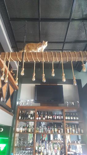 Molly Malone's Kuşadası - Gastronomi ve konaklama