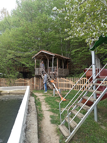 Opinii despre Kemaliye Yıldırım Alabalık Tesisleri în Pamukova - Gastronomi ve konaklama