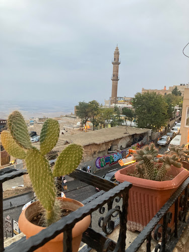 Filinta Cafe - Gastronomi ve konaklama