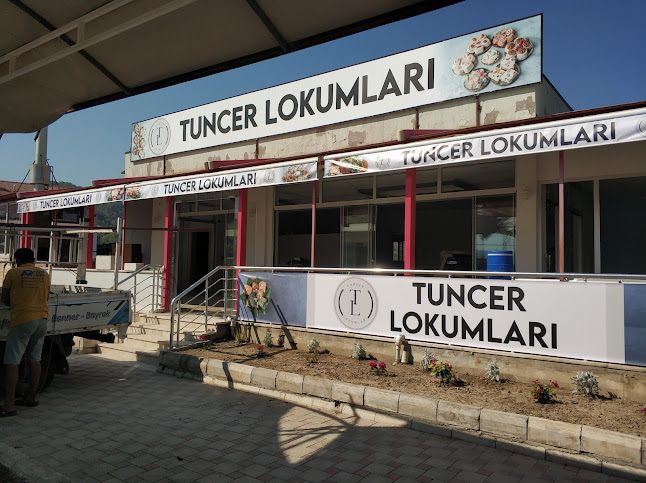 ELİBOL DÖNER DALAMAN