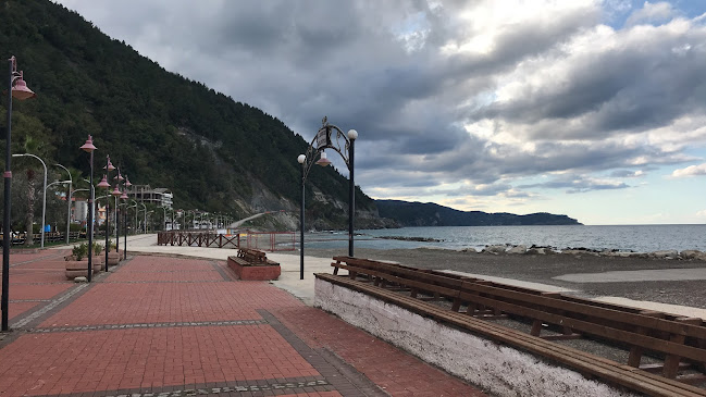 Yalı, Hakan Ünsal Cd., 57400 Ayancık/Sinop