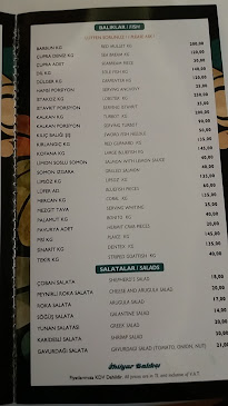 Opinii despre İhtiyar Balıkçı Restaurant în Bakırköy - Gastronomi ve konaklama
