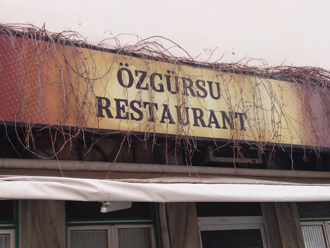 Özgürsu Restaurant