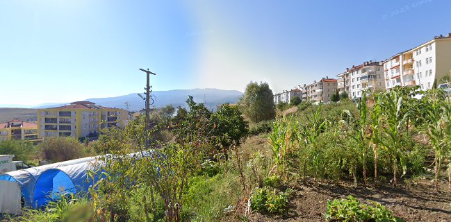 İbrahim Usta - Köfte - Balık - Ciğer