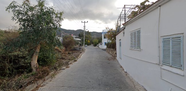 Turunç Köy Kahvaltısı