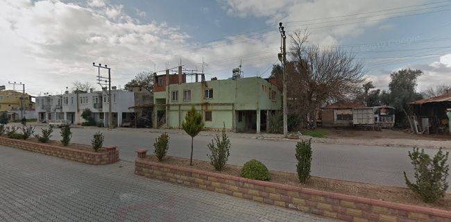 Comentarii opinii despre ÇITIR KOKOREÇ Berkay USTA