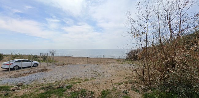 Sea Side Beach Lounge