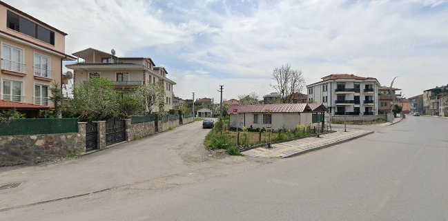 Sakarya organik köy ürünleri