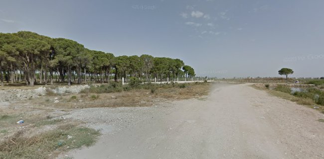 Comentarii opinii despre Yörük Mehmet balīk evi