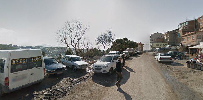 Tatar Balıkçılık - Demirci