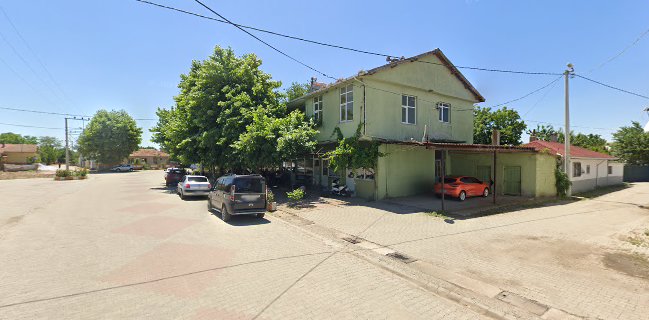 Oralli Merinos Çiftliği Tekirdağ Adaklık Kurbanlık