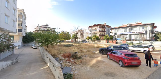 Opinii despre Terra Pizza în Şehitkamil - Gastronomi ve konaklama