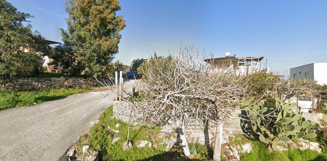 Vadi Restorant Turku Evi