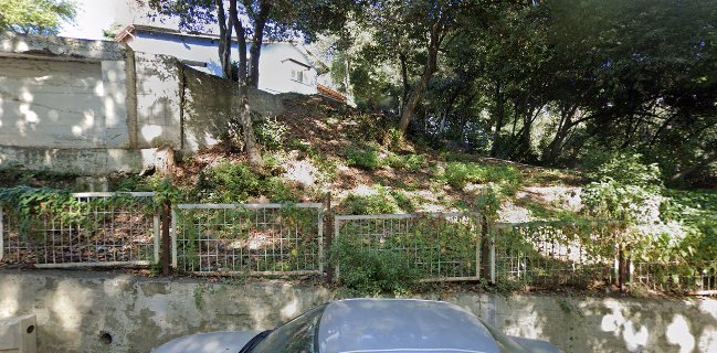 Zonguldak Tabip Odası Lokali