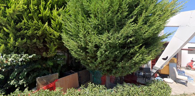 Opinii despre Batıpark Karadeniz Balık Restaurant în İlkadım - Gastronomi ve konaklama