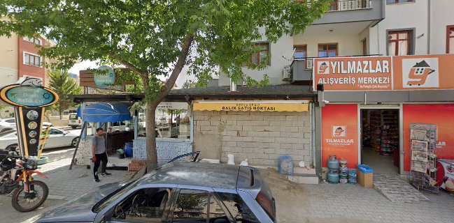 Old Bear Coffee & Kitchen Co.