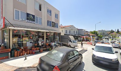 Çeşme Kumru