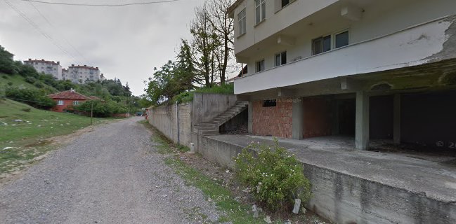 Arslan Usta Köy Evi Akçabat Köfte Mangalda Kuzu